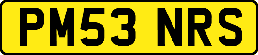PM53NRS