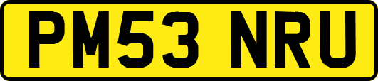 PM53NRU