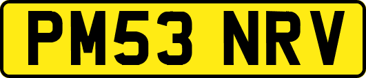 PM53NRV