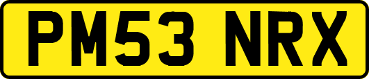 PM53NRX