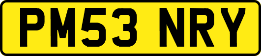 PM53NRY