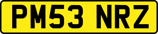 PM53NRZ