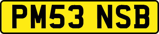 PM53NSB
