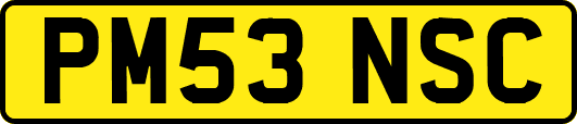 PM53NSC