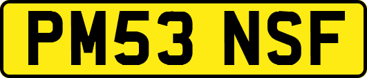 PM53NSF