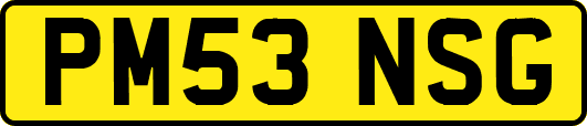 PM53NSG