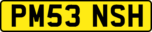 PM53NSH