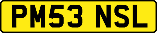 PM53NSL