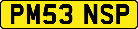 PM53NSP