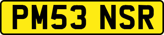 PM53NSR