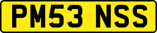 PM53NSS