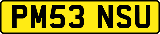 PM53NSU
