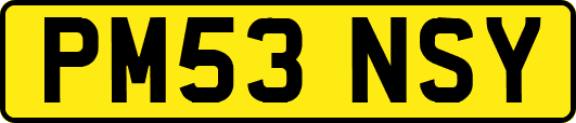 PM53NSY