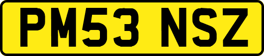 PM53NSZ