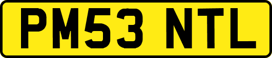 PM53NTL