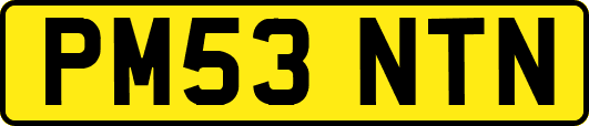 PM53NTN