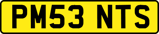 PM53NTS