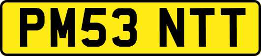 PM53NTT
