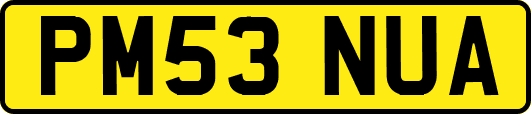 PM53NUA