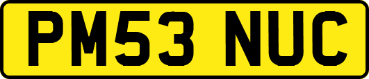 PM53NUC