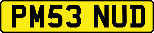 PM53NUD