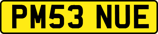 PM53NUE