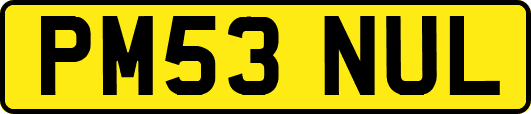 PM53NUL