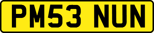 PM53NUN