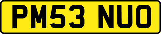 PM53NUO