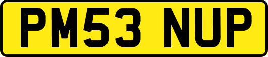 PM53NUP