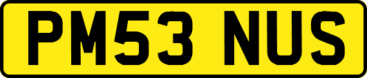 PM53NUS