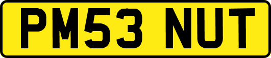 PM53NUT