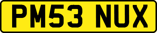 PM53NUX