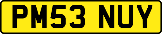 PM53NUY