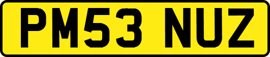 PM53NUZ