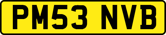 PM53NVB