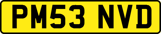 PM53NVD