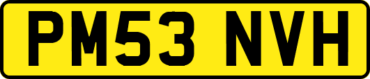 PM53NVH