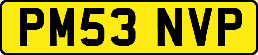 PM53NVP