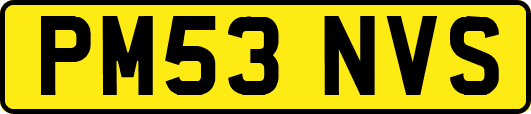 PM53NVS