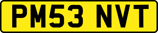 PM53NVT