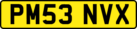 PM53NVX