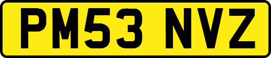 PM53NVZ