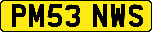 PM53NWS
