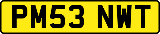 PM53NWT
