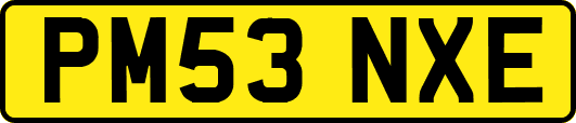 PM53NXE