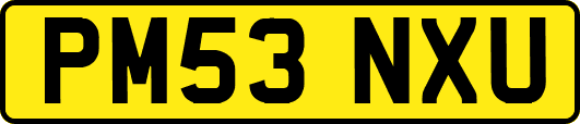 PM53NXU