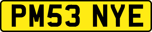 PM53NYE