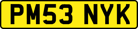 PM53NYK