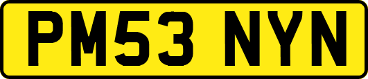 PM53NYN